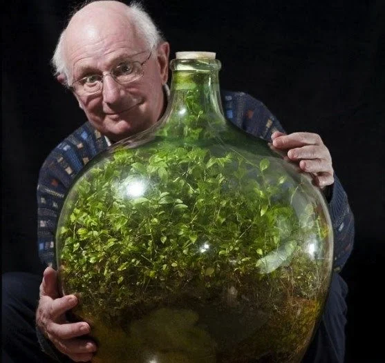 David Latimer with his decades-old sealed bottle garden